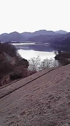 P1000220.jpg