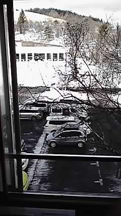 P1000229.jpg