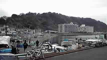P1000247.jpg