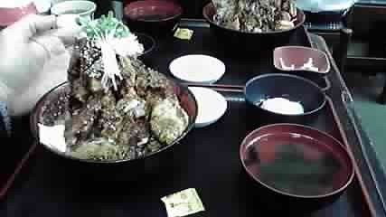 P1000251.jpg