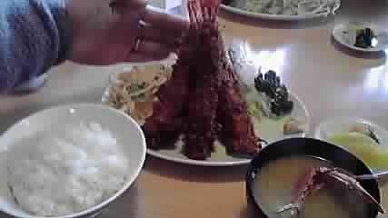 P1000262.jpg