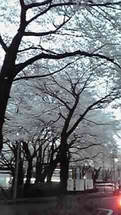 P1000276.jpg