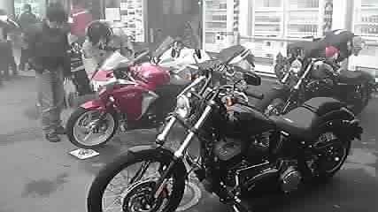 P1000285.jpg