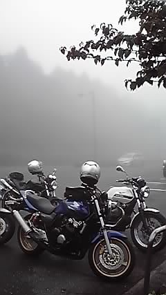 P1000311.jpg