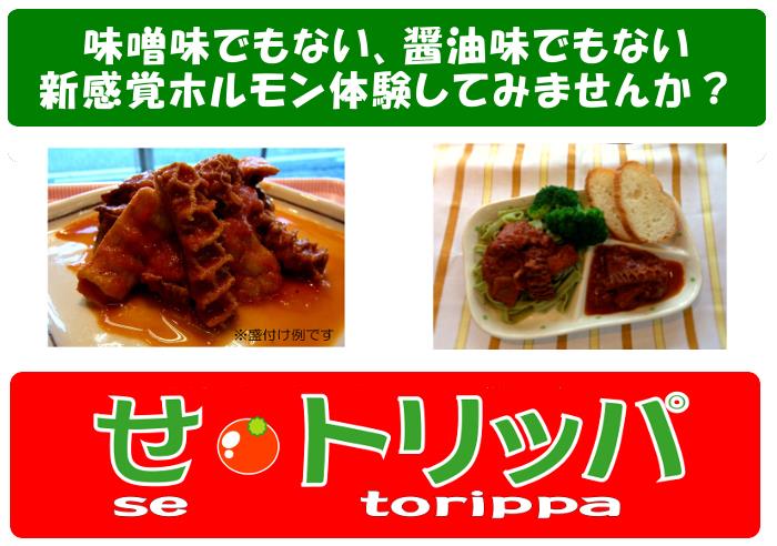 se_torippa_top.jpg