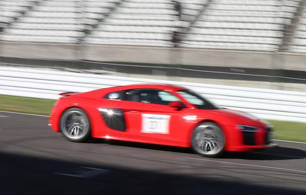 R81.jpg