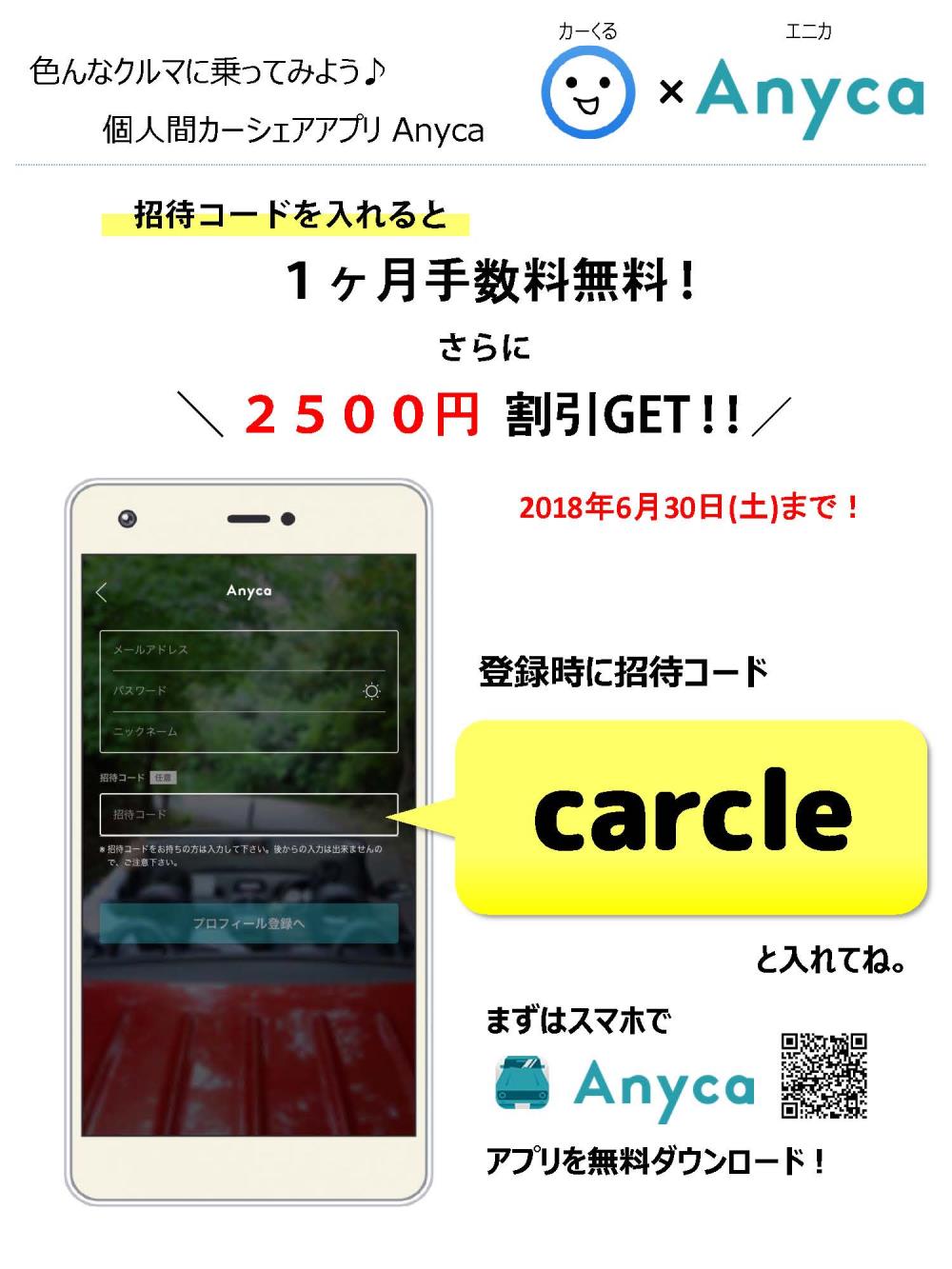 Anycaチラシ .jpg