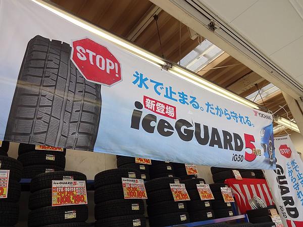 DSC08132-s.JPG