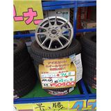 DSC08137-s.JPG