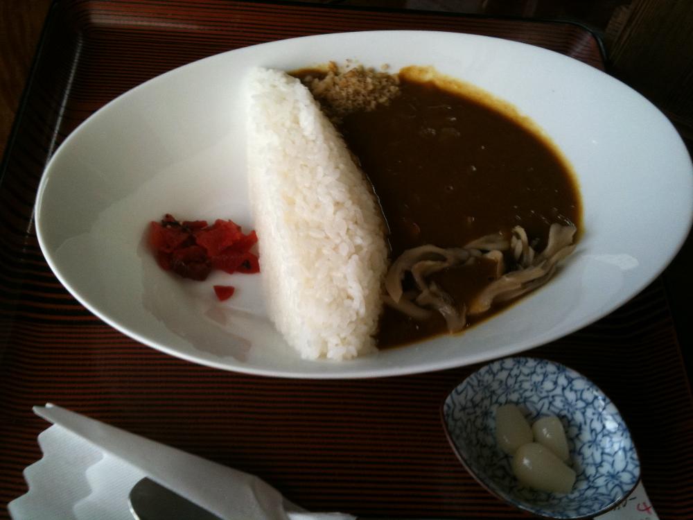 ダムカレ
