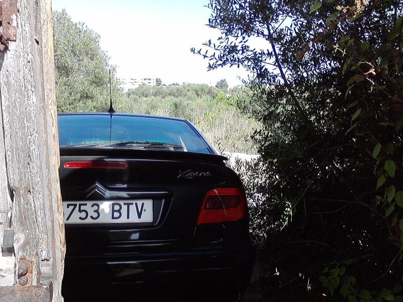 P220812_17.24p1.jpg