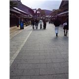 201101071205000.jpg