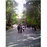 201101071222000.jpg