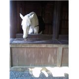 201101071242002.jpg