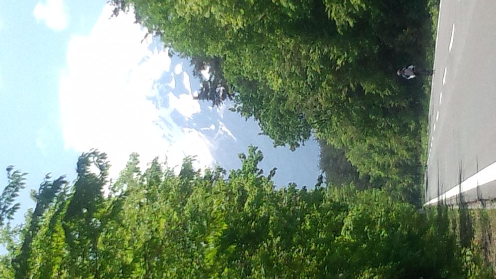 IMG_20120527_120241.jpg