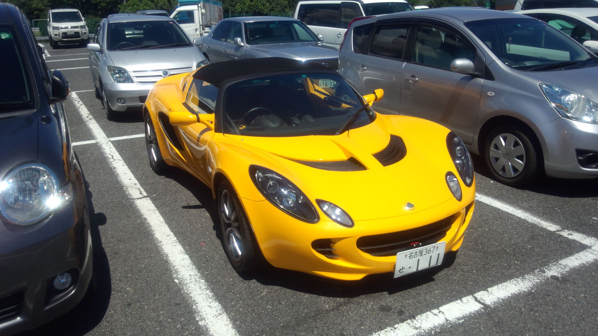 IMG_20120825_120356.jpg