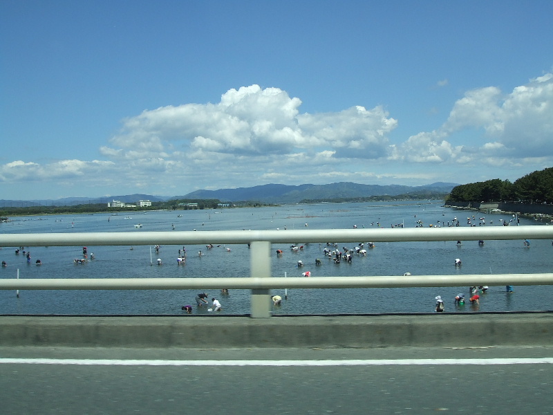 DSCF8331.JPG