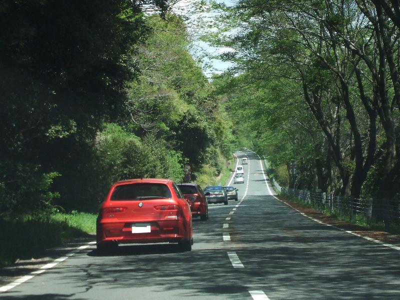 DSCF8344.JPG