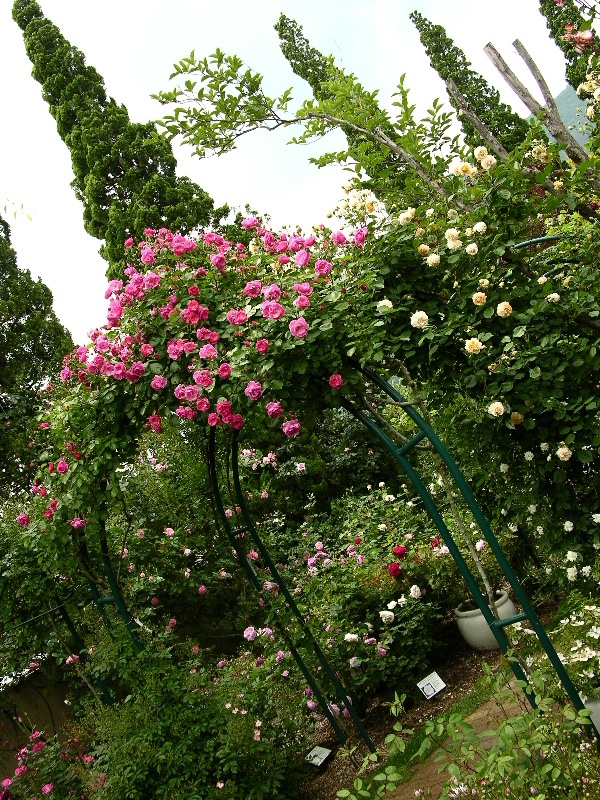 DSCN3301.JPG