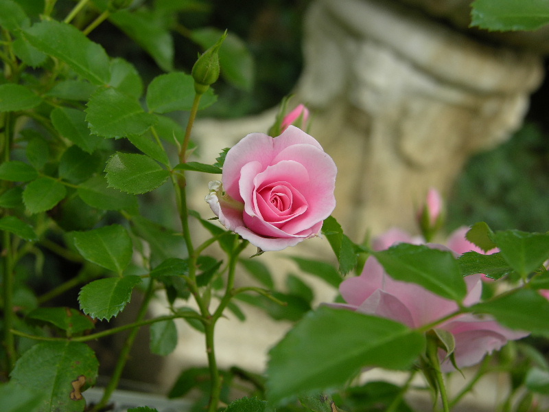 DSCN3304.JPG