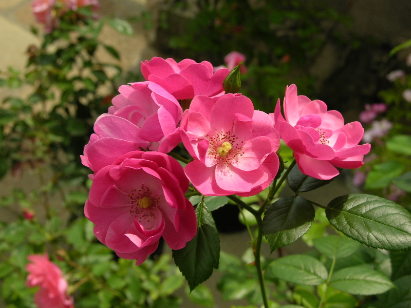 DSCN3307.JPG