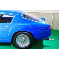 IMG_7841.jpg