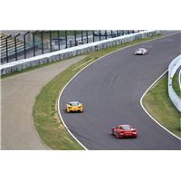 IMG_8844.jpg