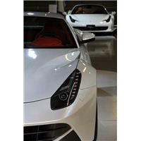 IMG_7867.jpg