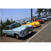 IMG_9497.jpg