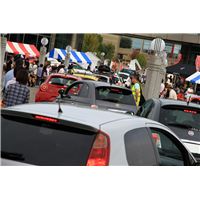 IMG_6480.jpg