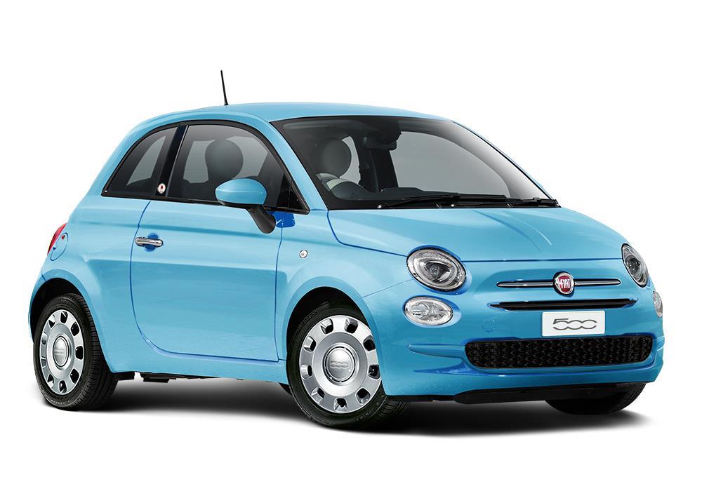490_news_500_POP_blue_cocci.jpg