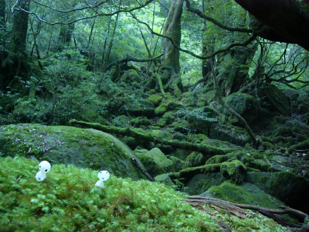 プロフィール3に写真を追加してください。