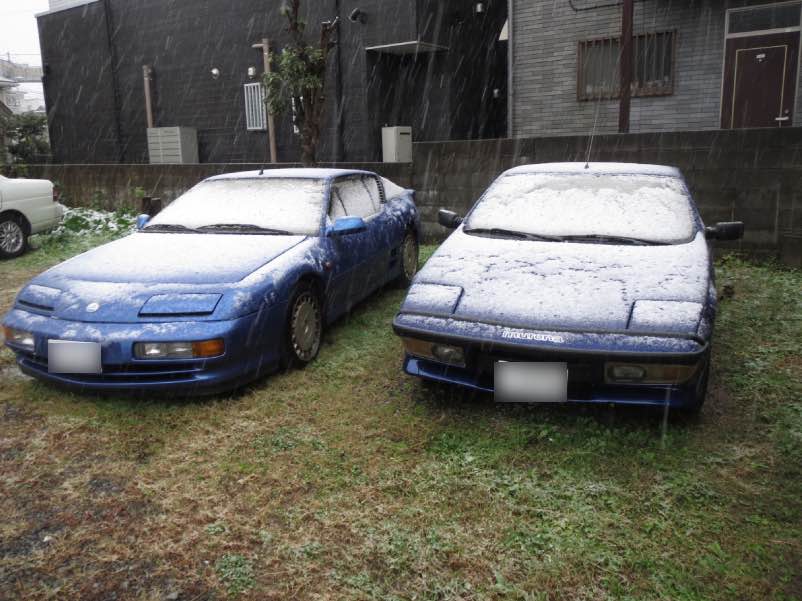 11gatunoyuki000.jpg