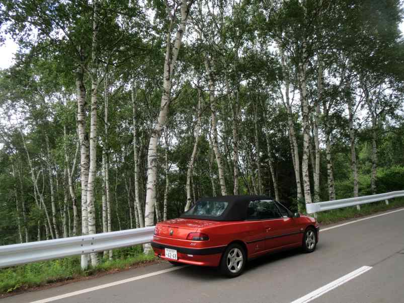 306cab002.jpg