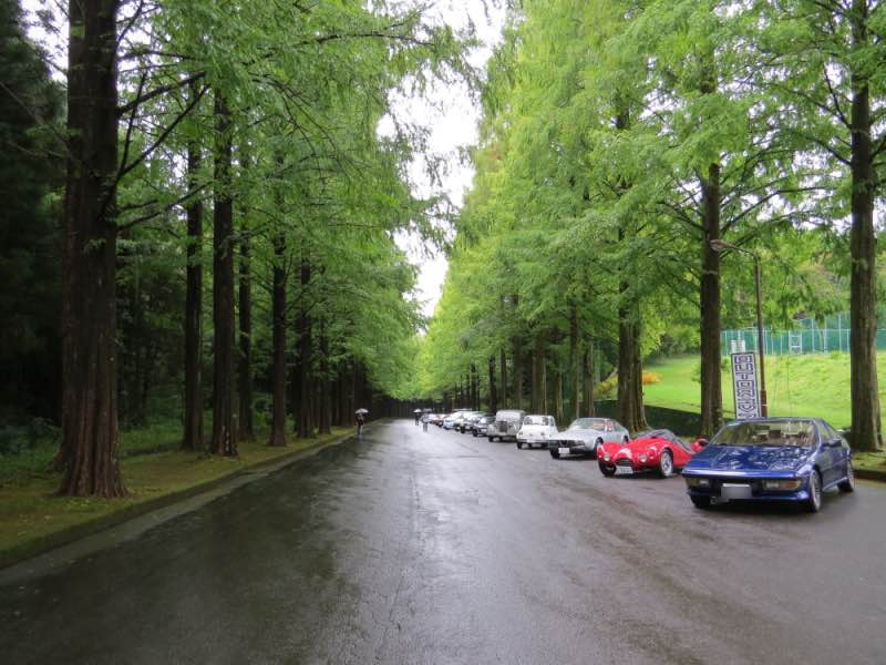 auto201.jpg