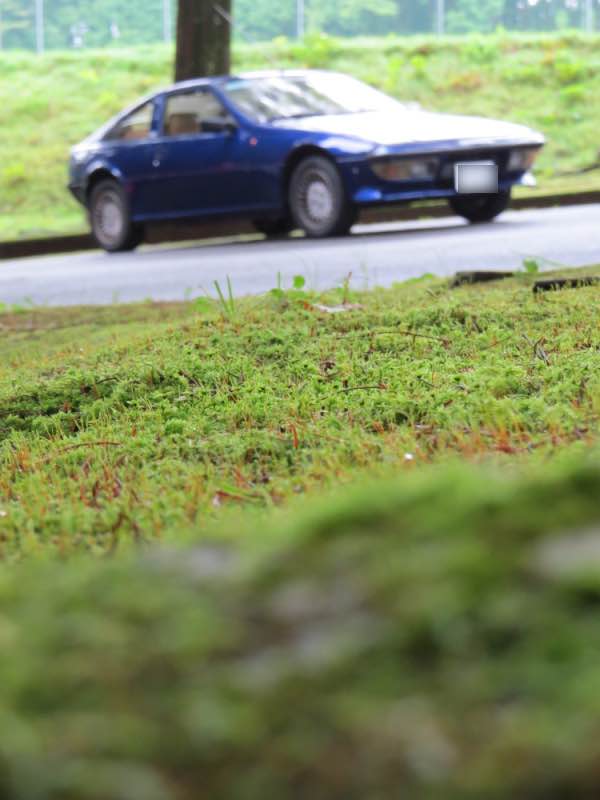auto301.jpg