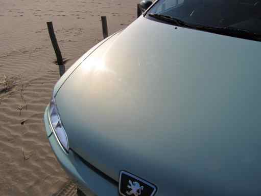 bonnet01.jpg