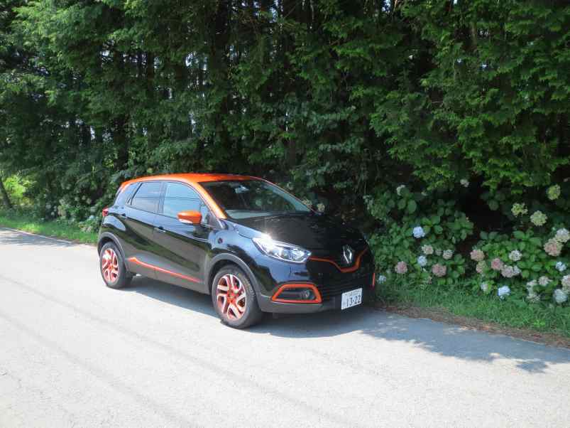 captur001.jpg