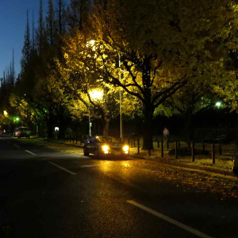 gaien002.jpg