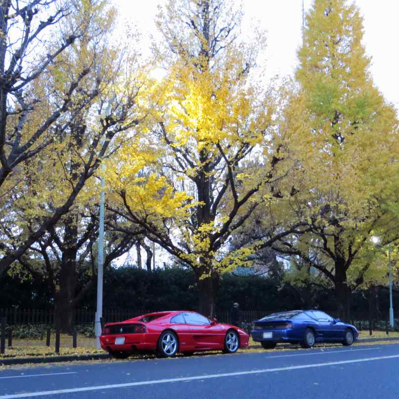 gaien004.jpg