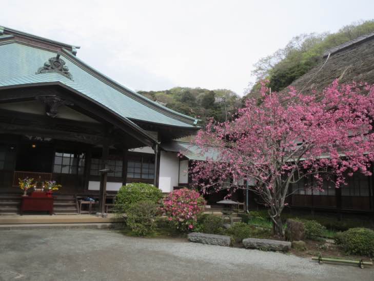 hanamaturi001.jpg