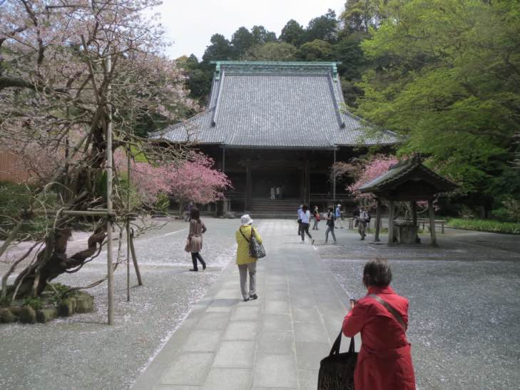 hanamaturi003.jpg