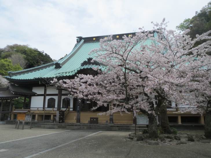 hanamaturi006.jpg