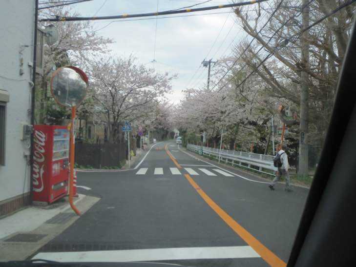 hanamaturi009.jpg