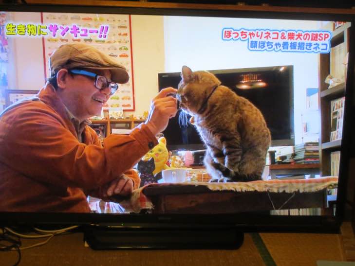 hanamaturi022.jpg