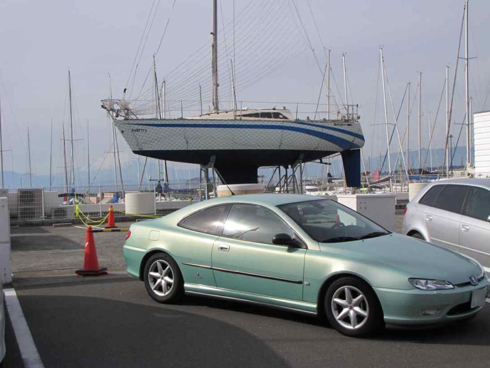 hatunori2013.jpg