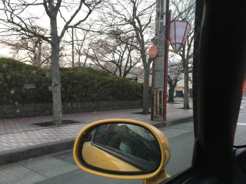 hirosakisakura00001.jpg