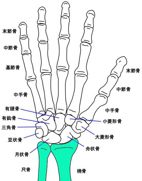 hone03.jpg
