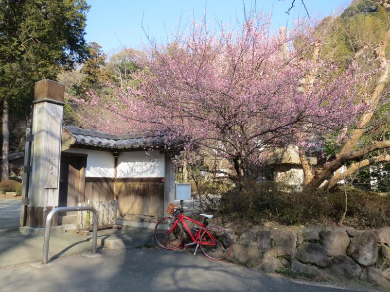 hudekuyou009.jpg