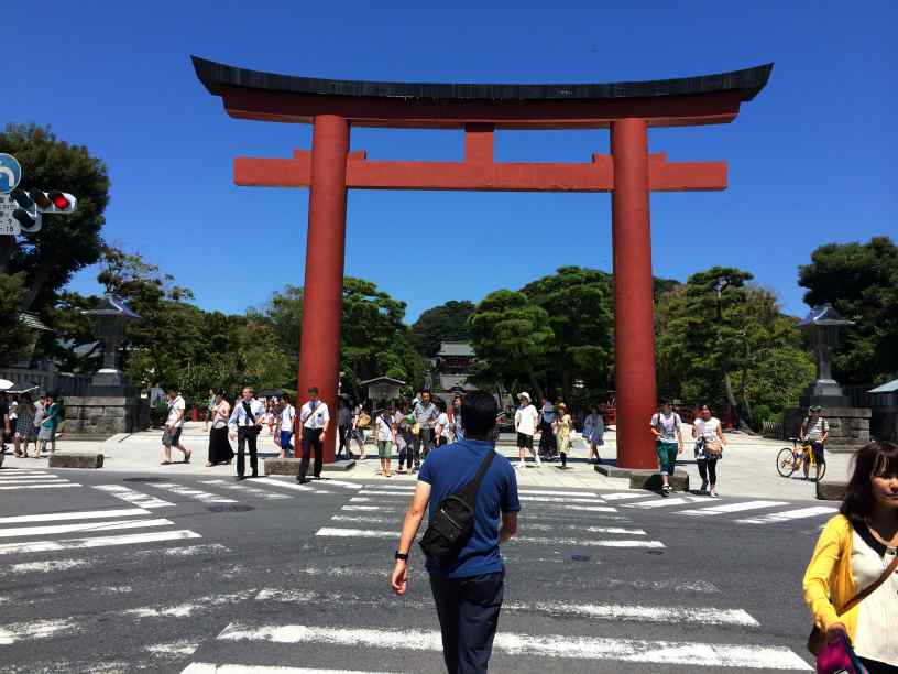 kamakuragu001.jpg